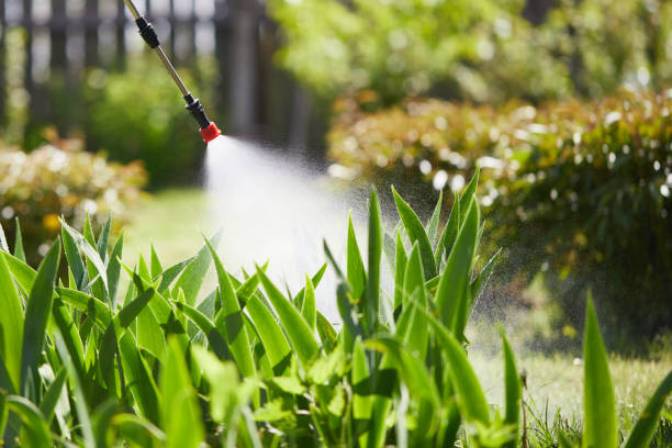 24/7 Emergency Cockroach Control experts in Mayville, ND