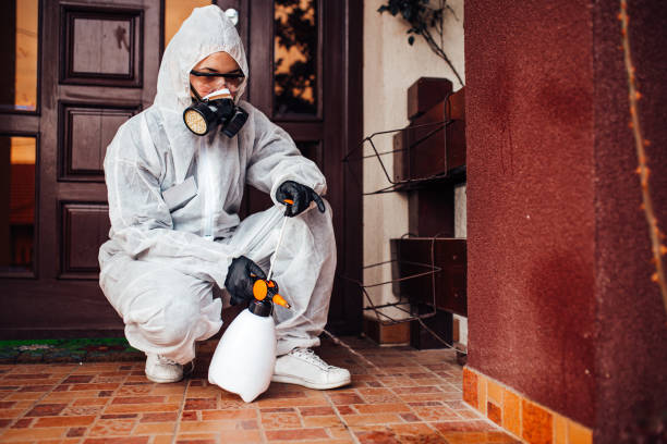 Reliable Cockroach Control contractor in Mayville, ND by Nex Pest Control